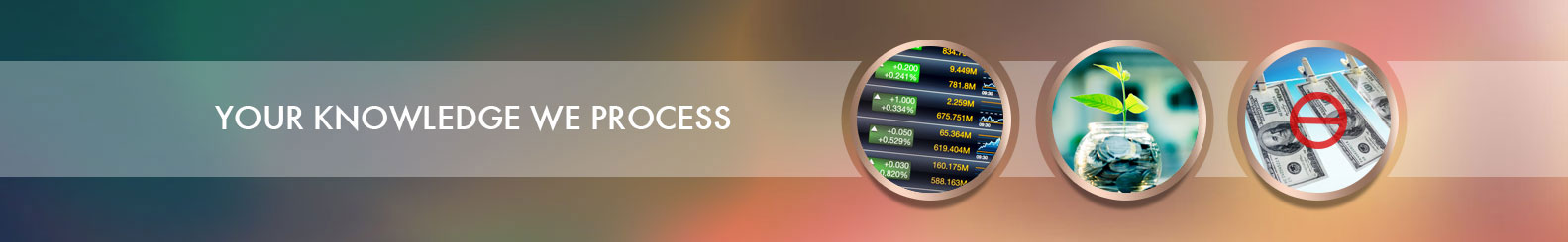 Financial Analysis